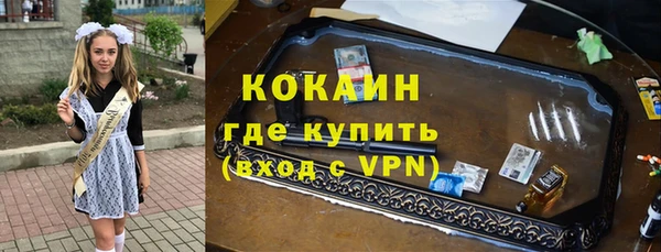 шишки Балахна