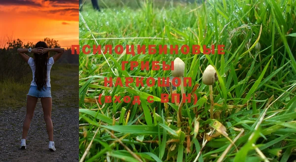 шишки Балахна