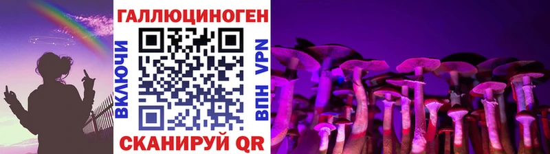Галлюциногенные грибы Psilocybine cubensis  Новопавловск 